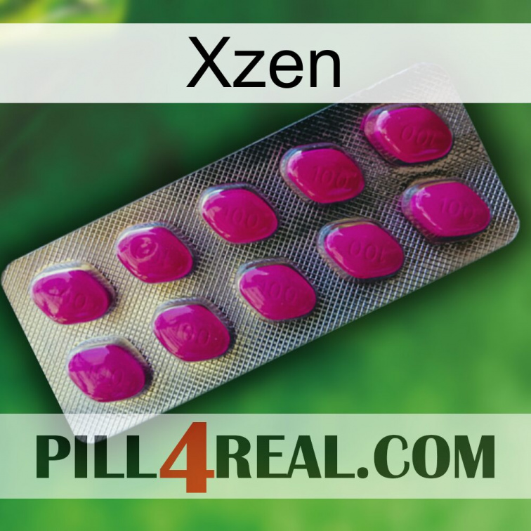 Xzen 09
